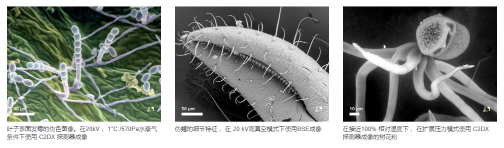 QQ截图20201216114208.png